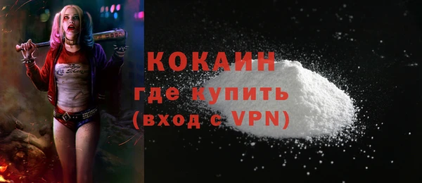 apvp Вяземский