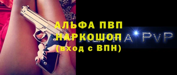 apvp Вяземский