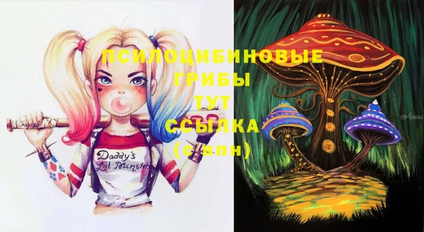 apvp Вяземский