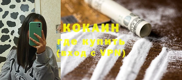 apvp Вяземский