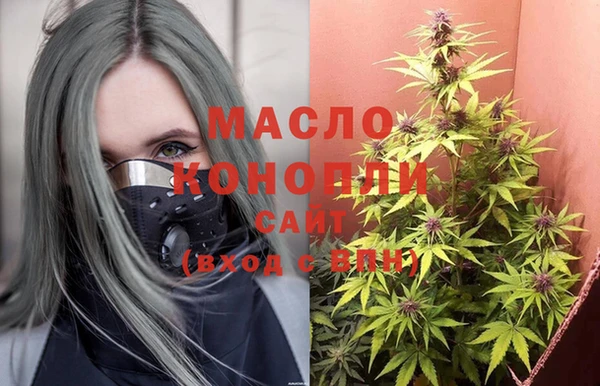 apvp Вяземский