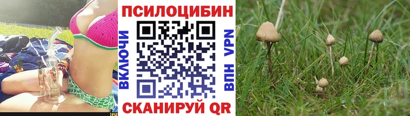 Псилоцибиновые грибы мухоморы  Купить закладки  Клинцы 